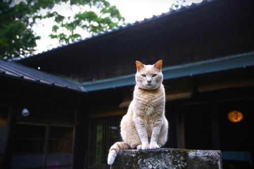 Tenryu Casa | Maroya - Vacation STAY 16538