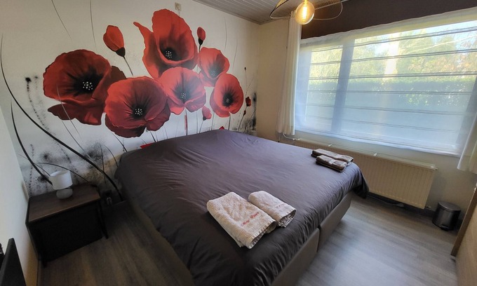 Templeuve Cama Y Desayuno | Mary's Poppies, in the heart of a small, peaceful village, ideal for recharging your batteries!