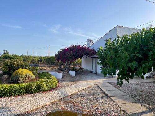 Amposta Casa | Masía Mas Salut