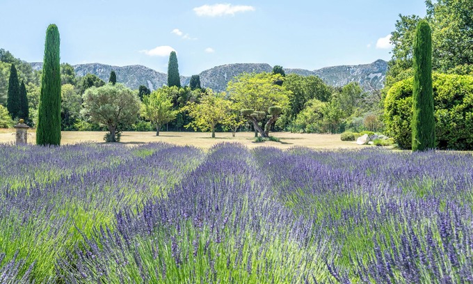 St.-Remy-de-Provence Villa | Mas D'exception au Pied des Alpilles
