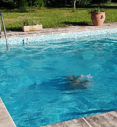 Saint-Martin-de-Crau Casa | Mas dans propriete agricole