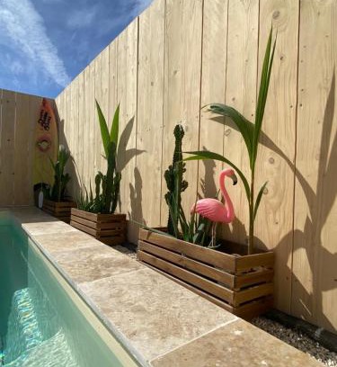 Saintes-Maries-de-la-Mer Casa | Mas des Oliviers, maison avec piscine privative et chauffée LOCAMARGUE