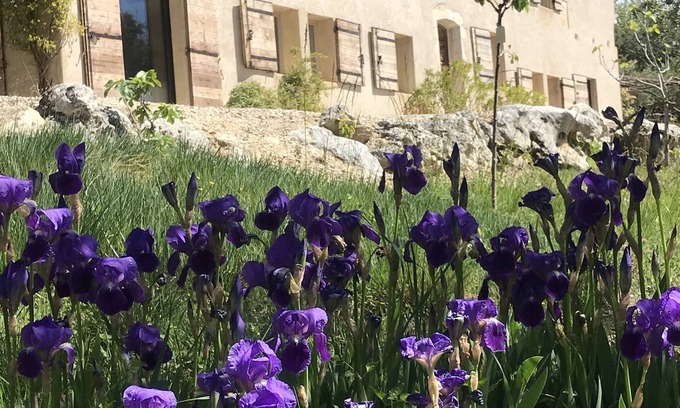 Saint-Saturnin-les-Apt Otro | Mas en la Provenza con excepcionales vistas del Luberon