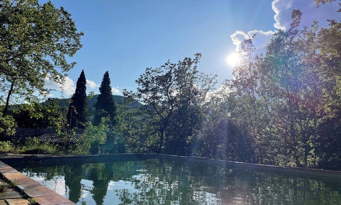 Brignoles Otro | Mas Provençal et Forêt Privée en Provence Verte