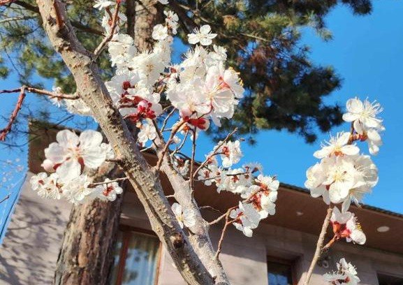 Vanadzor Apartamento | Mashtots B&B