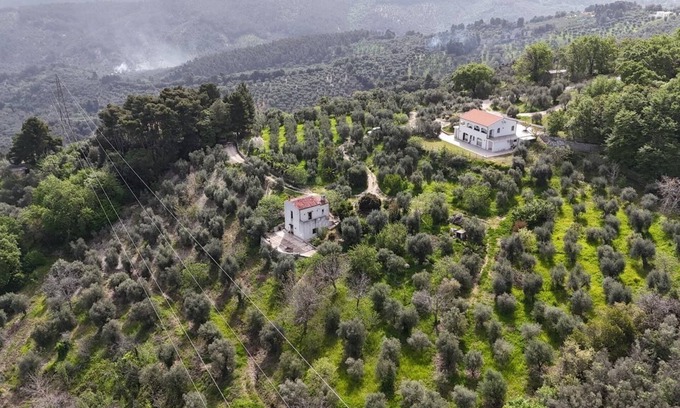 Vico del Gargano Cama Y Desayuno | MATHEMATIC GREEN - A look at nature