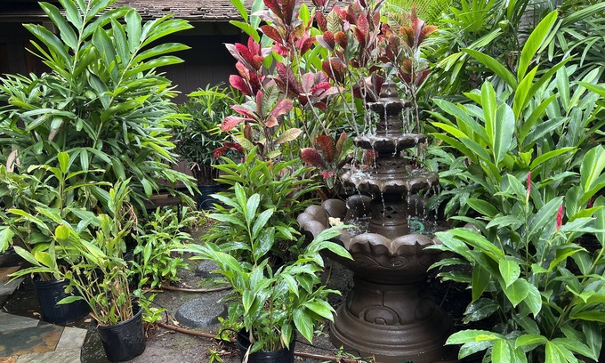 Kihei Cama Y Desayuno | Maui What A Wonderful B&B Pineapple Ste