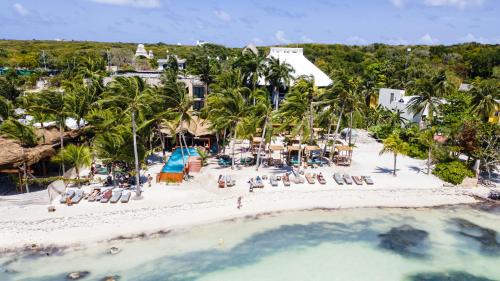 Isla Mujeres Hotel | Mayan Monkey Isla Mujeres - Social Hotel