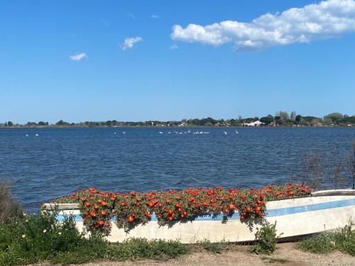 Marseillan Casa | Mazet NiMiSa