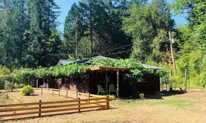 McKenzie Bridge Casa | McKenzie Grapevine Hideaway—private mini villa