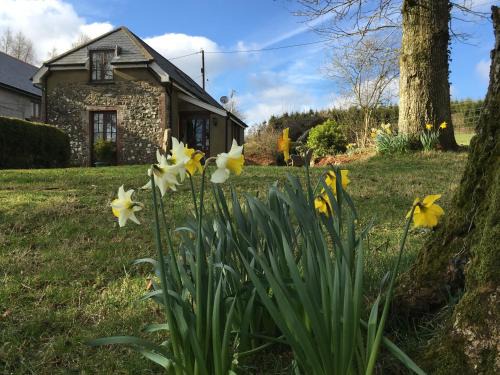 East Portlemouth Casa | Meadow Sweet Cottage