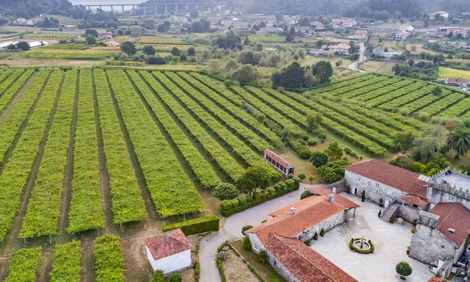 Portas Villa | Pazo medieval ente viñedos para 12 huéspedes. Gran cenador con barbacoa y jardín