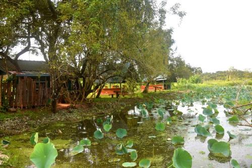 Anuradhapura Casa | Meegahapokuna Resort