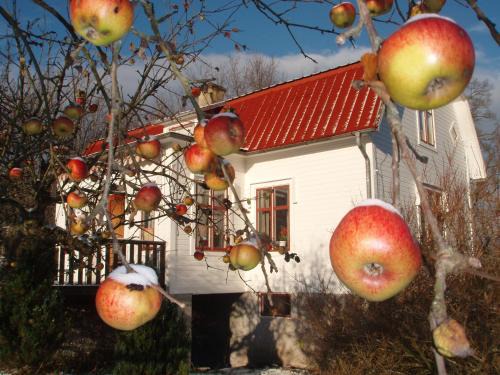 Storlinge Cama Y Desayuno | Mellangården i Äpplerum