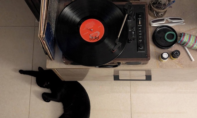 Lahore Casa | Meow Manor