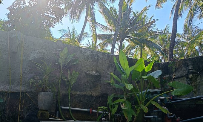 Bukti Cama Y Desayuno | Mermaid Suite With AC 1 B&B - Bali Jungle Retreat with Fine Dining & Eco Pool