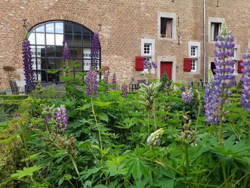 Mesch Apartamento | Meschermolen 14