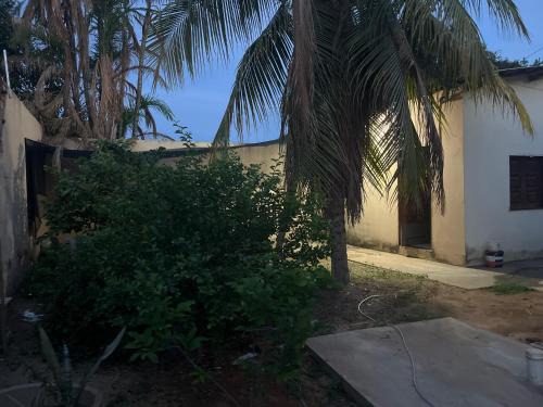 Santarem Casa | Meu cantinho 3