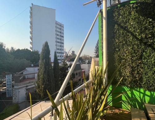 Narvarte Poniente Casa | Mexico City Guesthouse
