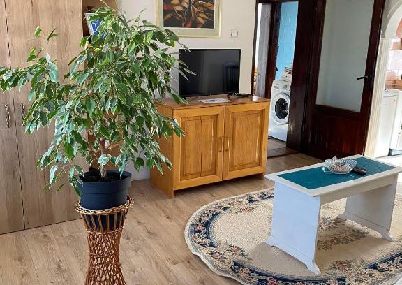 Pirot Apartamento | Mićin dom
