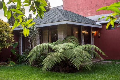 Zona 13 Casa | Mi casa, tu casa