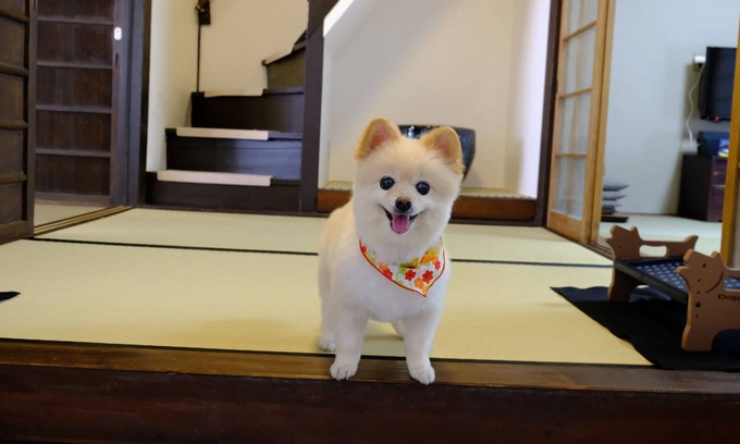 Nakagyo Ward Casa | Mibu Dodan | Stay without meals Rent a whole Kyo / Kyoto Kyōto
