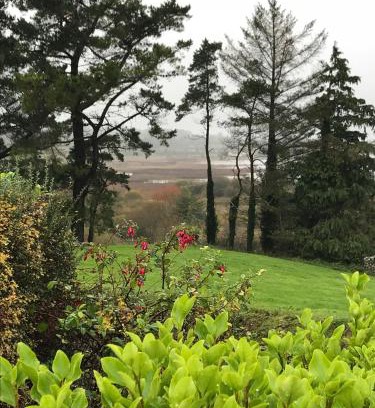 Loughrea Casa | Mick's Cottage