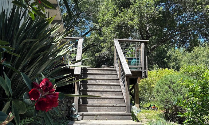 Picnic Valley Casa | Mid Century Modern 3-bedroom house with outdoor spaces and a ton of light