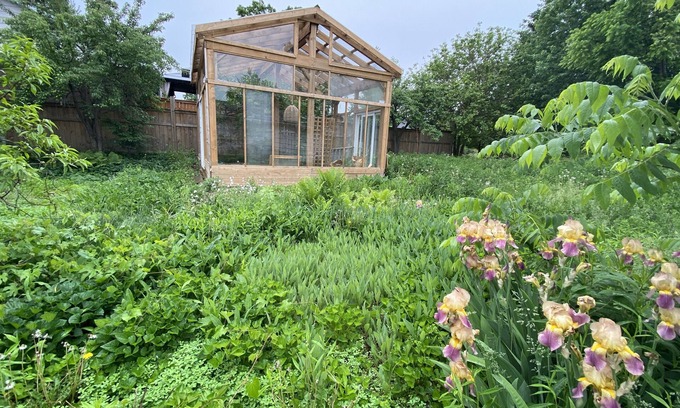 Sarnia Casa | Mid-Century oasis + greenhouse!