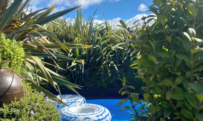 Blenheim Casa | Midcentury Magic in Marlborough