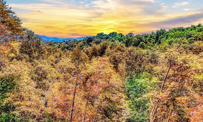 Sevierville Cabina | Mighty Birdsong: 2 New Cabins w/ Hot Tubs, Indoor Pools, Mtn Views, Firepit