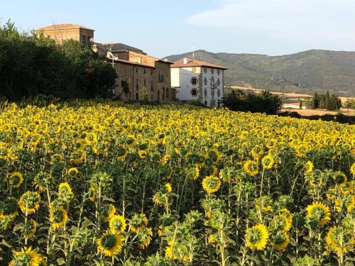 Lacar Casa | Migueltxoenea