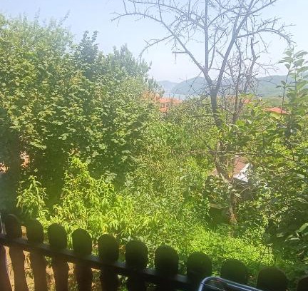 Golubac Casa | Mihy