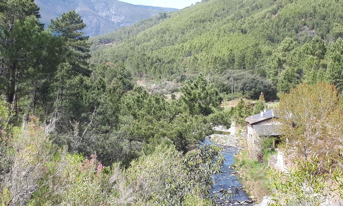 Pinofranqueado Cabaña | Molino rehabilitado con Piscina Natural y Barbacoa en entorno natural