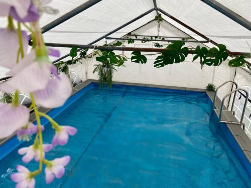 Bramcote Casa | Mini Love Island style guest house includes personal warm 24 hour swimming pool, outdoor bathtub, BBQ and fire pit, all this is secretly located in the busy suburbs of Nottingham