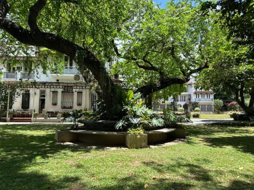 Bagong Lipunan Ng Crame Apartamento | MiraNamin Nest LIRYO and LANTANA Residence in Unique Historic Home - Garden, Rooftop, Private Kitchen
