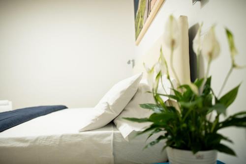 Santa Caterina Apartamento | MIRARIA seaside
