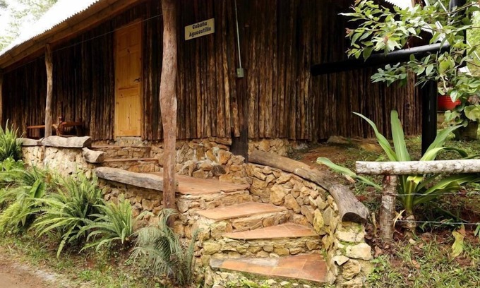 Alta Verapaz Cabina | Misterio Verde