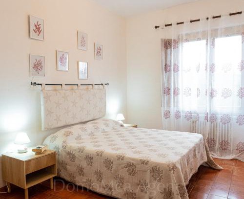 Capo Testa Casa | Mistral