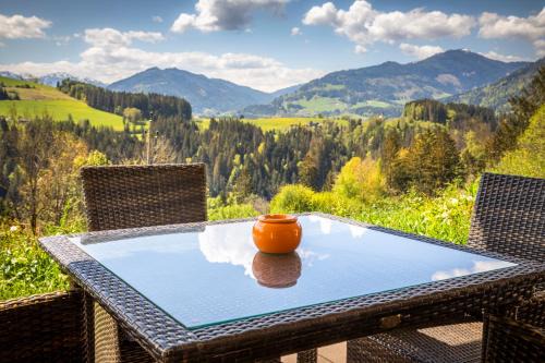Pfarrwerfen Apartamento | Mittergasteggut