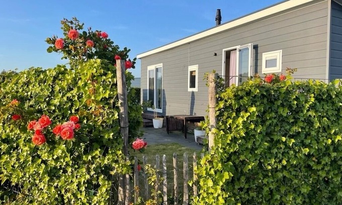 Renesse Apartamento | Mobilheim für 4 Gäste mit 40m² in Renesse