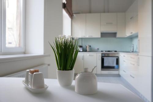 Lviv City Center Apartamento | Modern Apartment