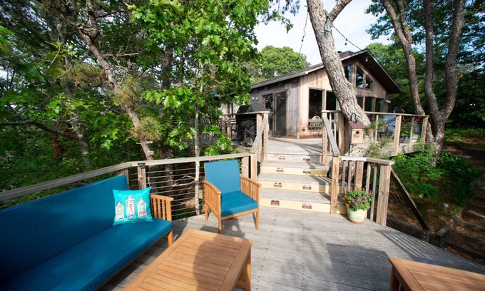 Truro Casa | "Casa del árbol" moderna en Truro Hills