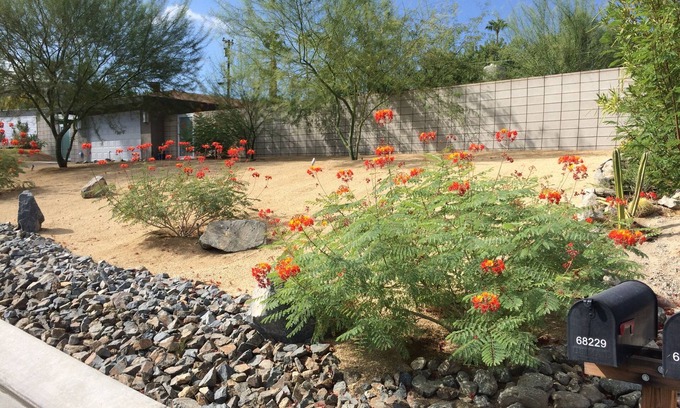 Cathedral City Cove Casa | Modern Zen Retreat: la mejor vida interior y exterior