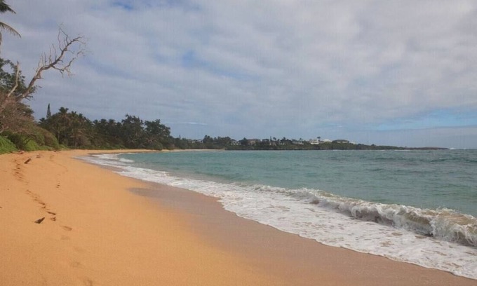 Laie Casa | 🌸Moku Paradise🌸 - Beach | PCC