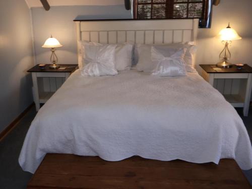 Port Elizabeth Casa | Mongoose Manor BnB