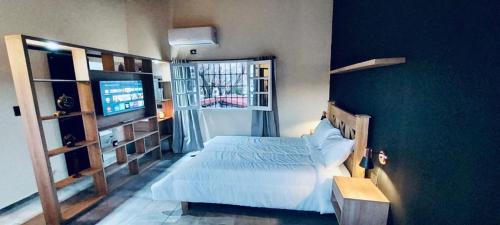 Mendoza City Center Apartamento | Monoambiente Luminoso con Pileta y asador