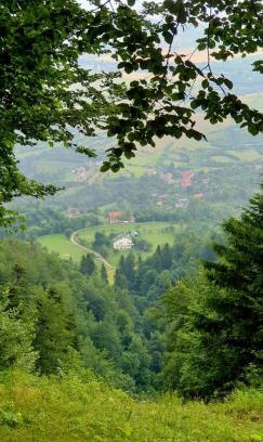Moieciu Cabina | Mont Crai