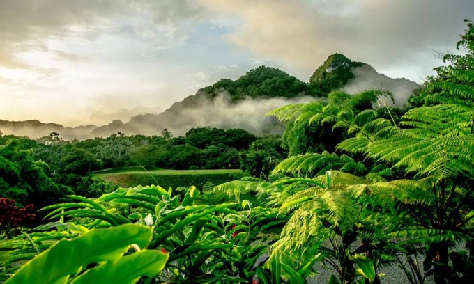 Utuado Cabina | Monte Sagrado Reserve-100 acres+wellness+River!