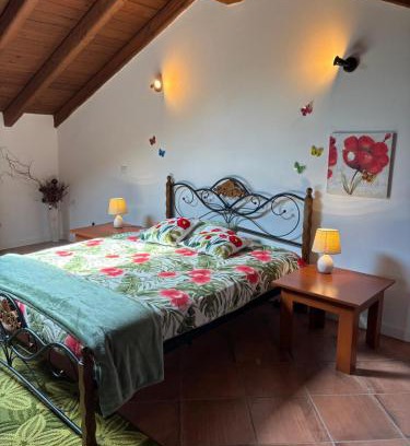 Caltignaga Apartamento | Monterosa
